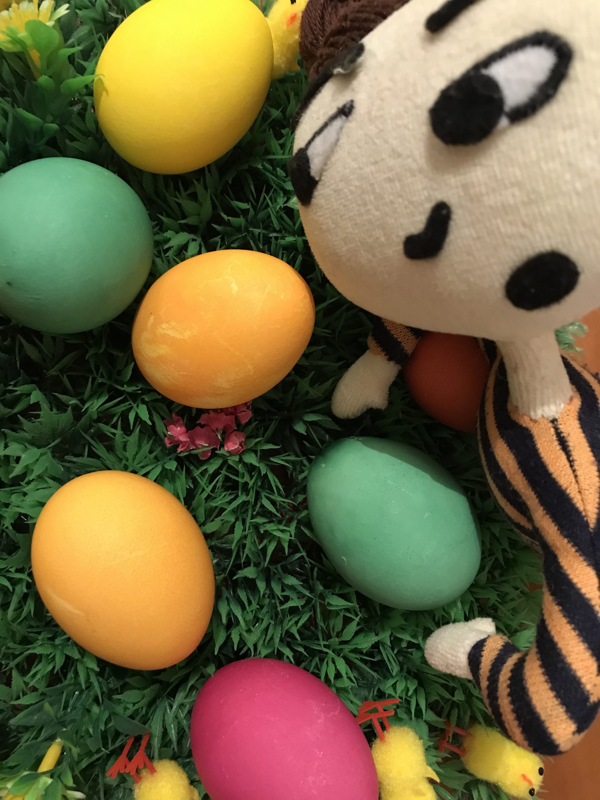 Kinderbuchfigur Marie zwischen Ostereiern – Osterlesung ‚Schwätz halt